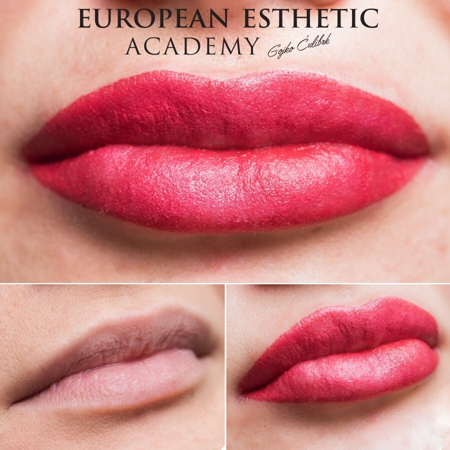 Bild von LIPS COMBO ONLINE COURSE