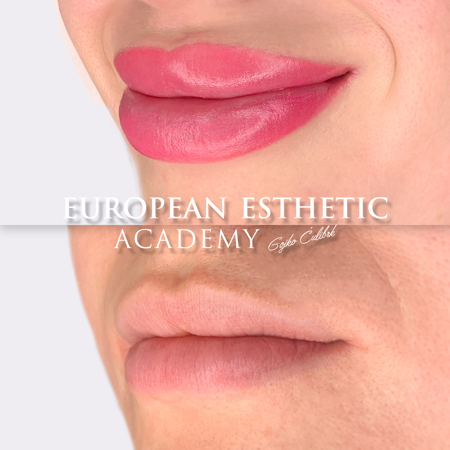 Imagen de LIPS COMBO ONLINE COURSE